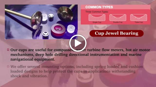 Cup Jewel Bearing
